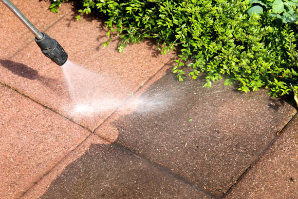 Best House Pressure Washing  in Marion, MT